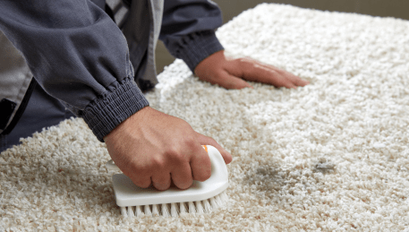 Professional Rug Cleaning Jan Juc